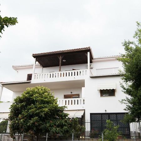 Bivas Nikolaos Villa Palaiontsiflikion Exterior photo